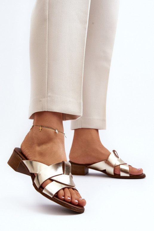 Zazoo 40236 Plätud naturaalsest nahast Pealiste omad Sellel ondala kontsaga Kuldset värvi