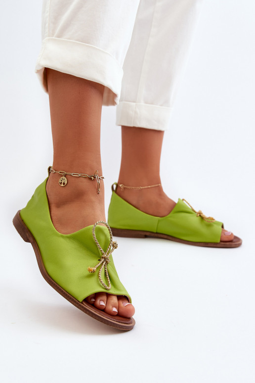 Zazoo 2660 Baleriinad Pealiste omad Laim Zazoo 2660 Baleriinad Pealiste omad Laim