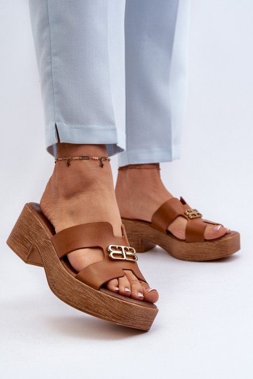 Zazoo 40412 Pealhk Elegantsed naiste plätud Kuldse kaunistusega pruunid värvi Zazoo 40412 Pealhk Elegantsed naiste plätud Kuldse kaunistusega pruunid värvi