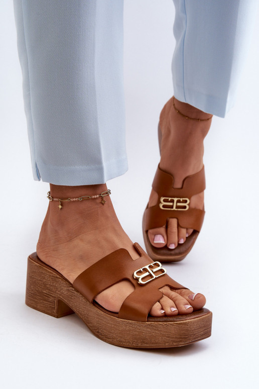 Zazoo 40412 Pealhk Elegantsed naiste plätud Kuldse kaunistusega pruunid värvi Zazoo 40412 Pealhk Elegantsed naiste plätud Kuldse kaunistusega pruunid värvi