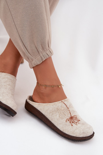 Pealiste omad jalatsid kodujalatsid Plätud Inblu NL000011 beeži värvi