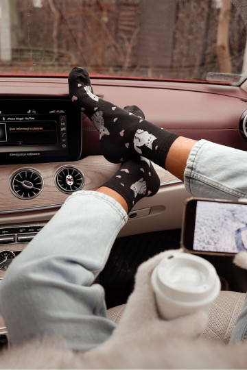 Sokid Pealiste omad Kassid I südametega msuud