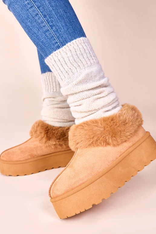 Pruunad lumekotid karusnahaga Deesi