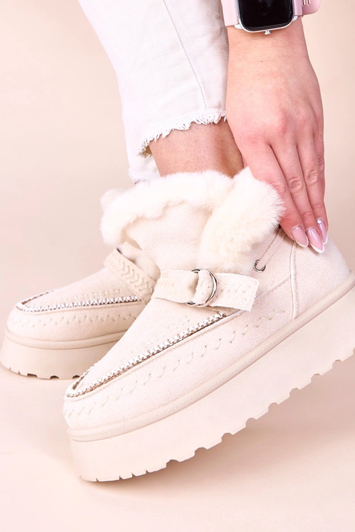 Liivakarva lumekotid dekoratiivse...