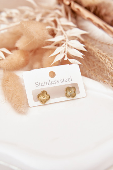 saapad koos stiilsete detailidegai roostevabast terasest Kuldset värvi 2