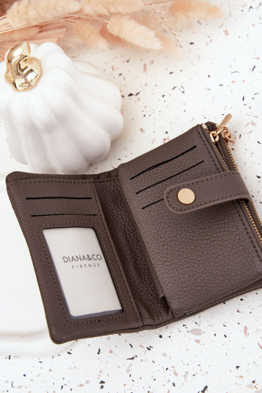 Rahakott eko-nahast halli värvi Ilissea