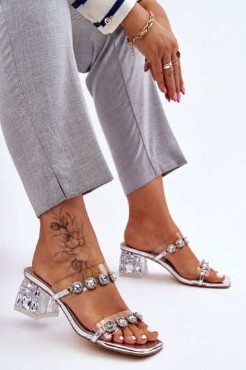 Pealiste omad Sussid Koos Ornateja tsirkoonid Hõbedat värvi Leyla 2