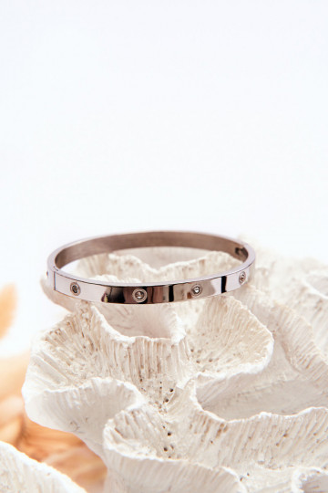 Käevõru säravate kristallidega Hõbedat värvi Lauren 2