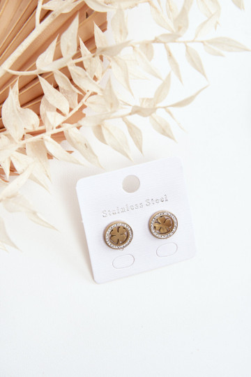 Roostevabast terasest kõrvarõngad Kuldset värvi 2