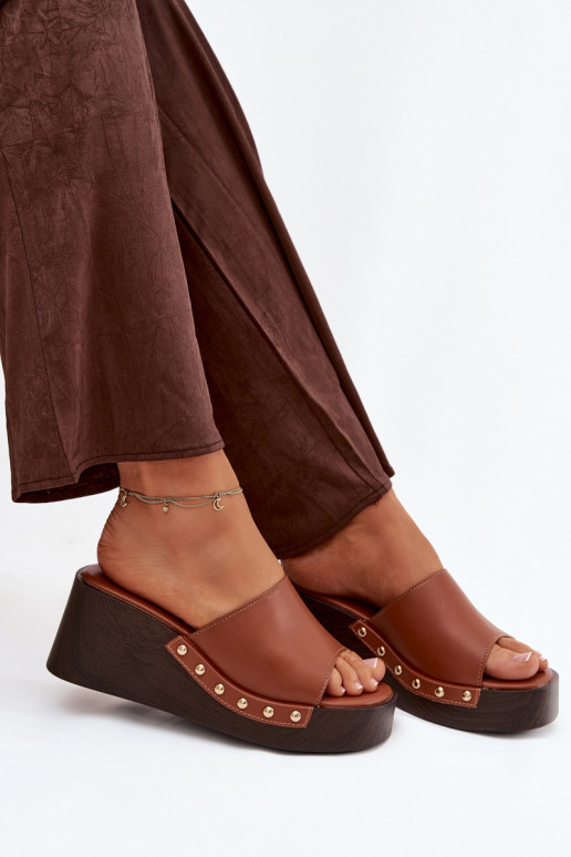 Naistel kuldse värvi platvormsussid Arionne, pruun