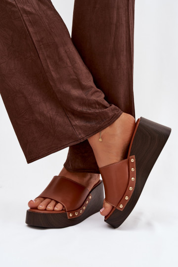 Naistel kuldse värvi platvormsussid Arionne, pruun 2