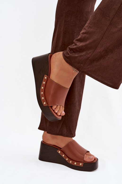 Naistel kuldse värvi platvormsussid Arionne, pruun