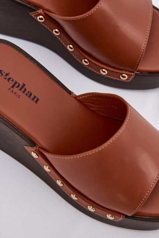 Naistel kuldse värvi platvormsussid Arionne, pruun