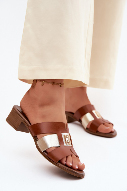 Plätud naturaalsest nahast Pealiste omad kõrge jämeda kontsaga Zazoo 40517 pruunid värvi