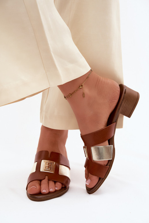 Plätud naturaalsest nahast Pealiste omad kõrge jämeda kontsaga Zazoo 40517 pruunid värvi