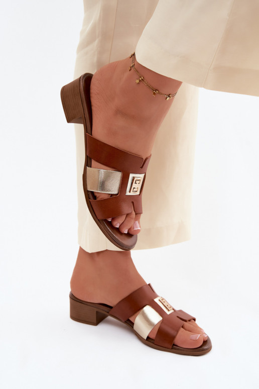 Plätud naturaalsest nahast Pealiste omad kõrge jämeda kontsaga Zazoo 40517 pruunid värvi