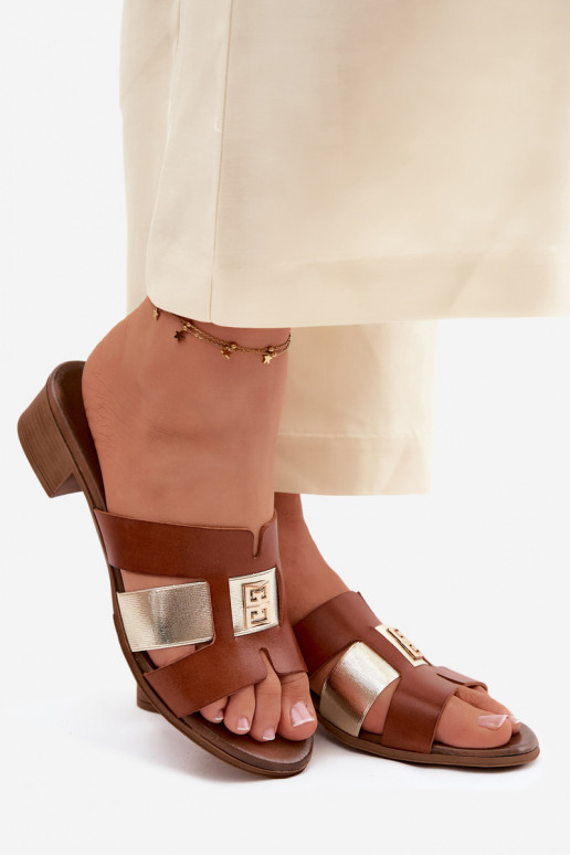 Plätud naturaalsest nahast Pealiste omad kõrge jämeda kontsaga Zazoo 40517 pruunid värvi