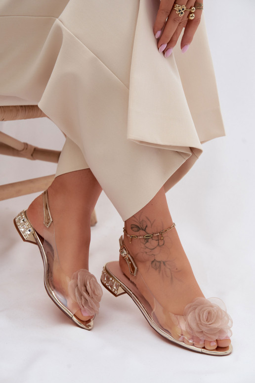Pealistesandaalid Külgedelt läbipaistvadRoos D&A MR61-9003 Kuldset värvi