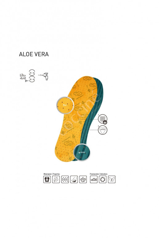 Coccine  Lisad  ALOE VERA