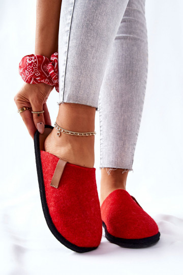 Soojad sussid kodujalatsid Panto Fino II267002 -pruunid värvi 2