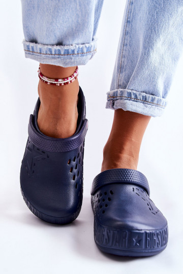 Kerged lehvidega  Big Star II275002 tumesinist värvi 2