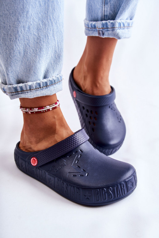 Kerged lehvidega  Big Star II275002 tumesinist värvi