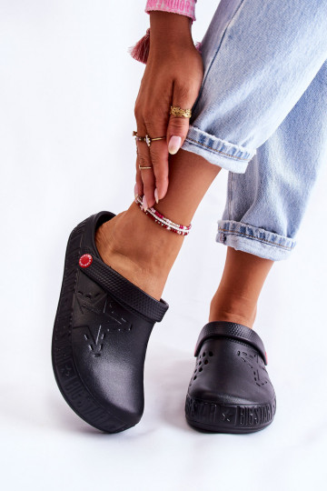 Kerged lehvidega  Big Star II275001 mustad