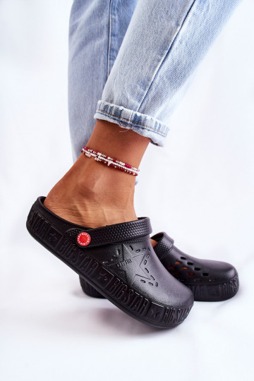 Kerged lehvidega  Big Star II275001 mustad 2