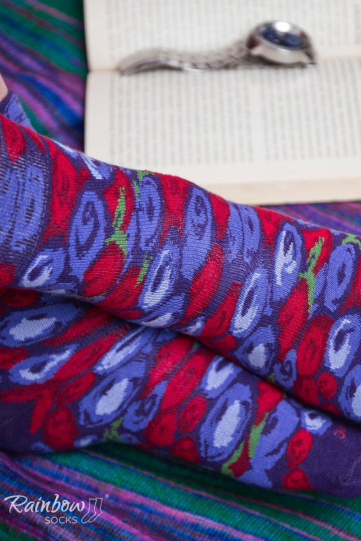 Vikerkaare sokid  2 paari Vikerkaare sokid  2 paari