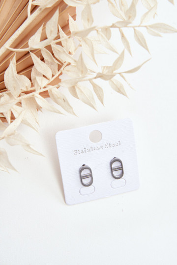 Stiilsed kõrvarõngad Hõbedat värvi