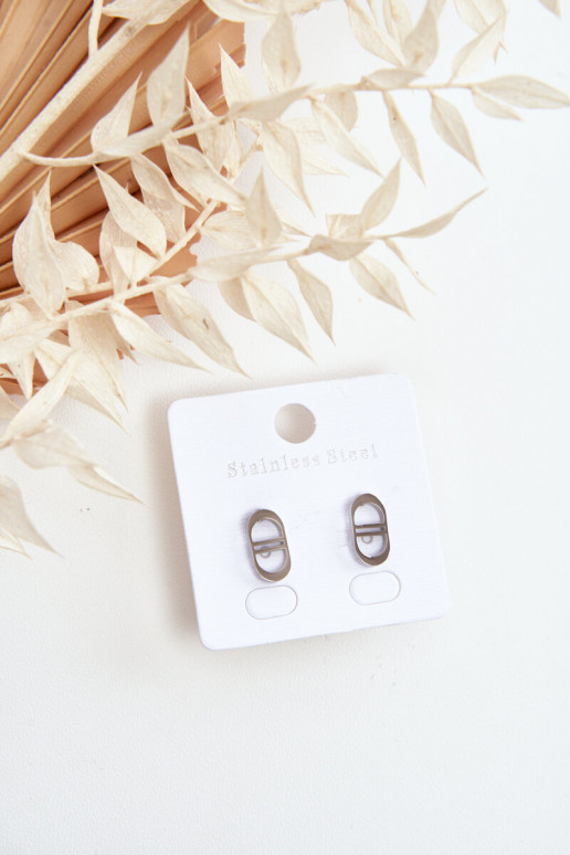 Stiilsed kõrvarõngad Hõbedat värvi