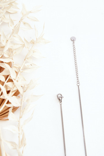 Kaelakee roostevabast terasest Hõbedat värvi 2