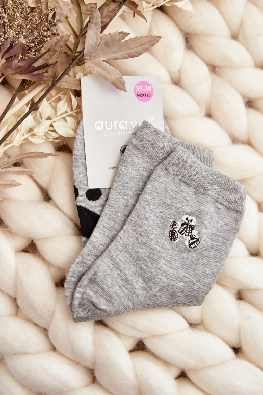 Plaastriga Plaastriga