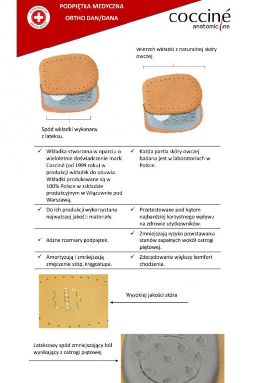 COCCINE ORTHO DAN sisetallad Peal Ostrogi Piętosissee COCCINE ORTHO DAN sisetallad Peal Ostrogi Piętosissee